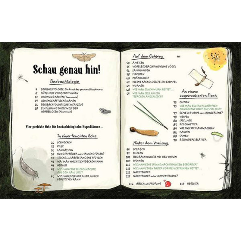Buchseite Inhaltsverzeichnis. Geöffnete Buchseite mit Kapitelübersicht und kleinen Zeichnungen von Insekten und Naturfundstücken.