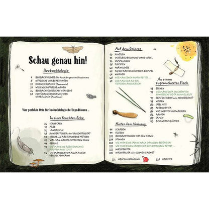 Buchseite Inhaltsverzeichnis. Geöffnete Buchseite mit Kapitelübersicht und kleinen Zeichnungen von Insekten und Naturfundstücken.