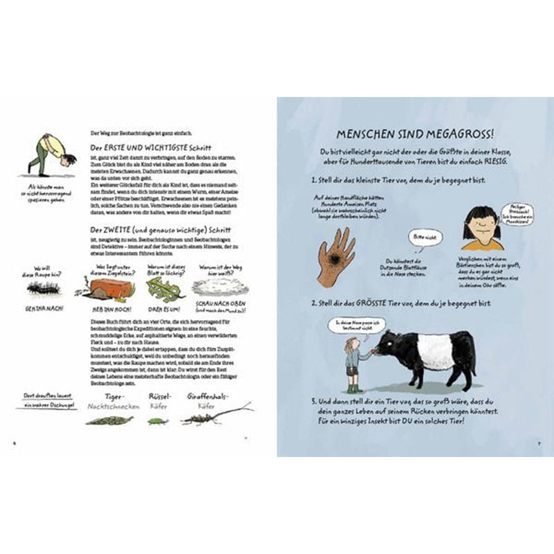 Buchseite Innenseite. Text und Illustrationen erklären erste Beobachtungsschritte, dazu Kinderzeichnungen von Tieren und Natur.