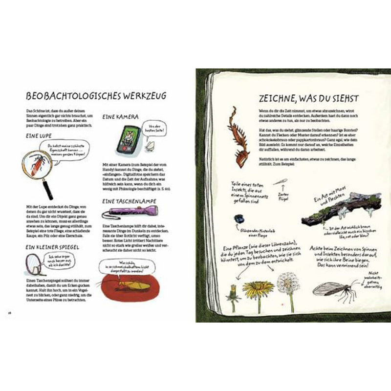 Buchseite Innenseite. Vorstellung von Beobachtungswerkzeugen wie Lupe, Kamera und Taschenlampe mit Zeichnungen und kurzen Erklärungen.