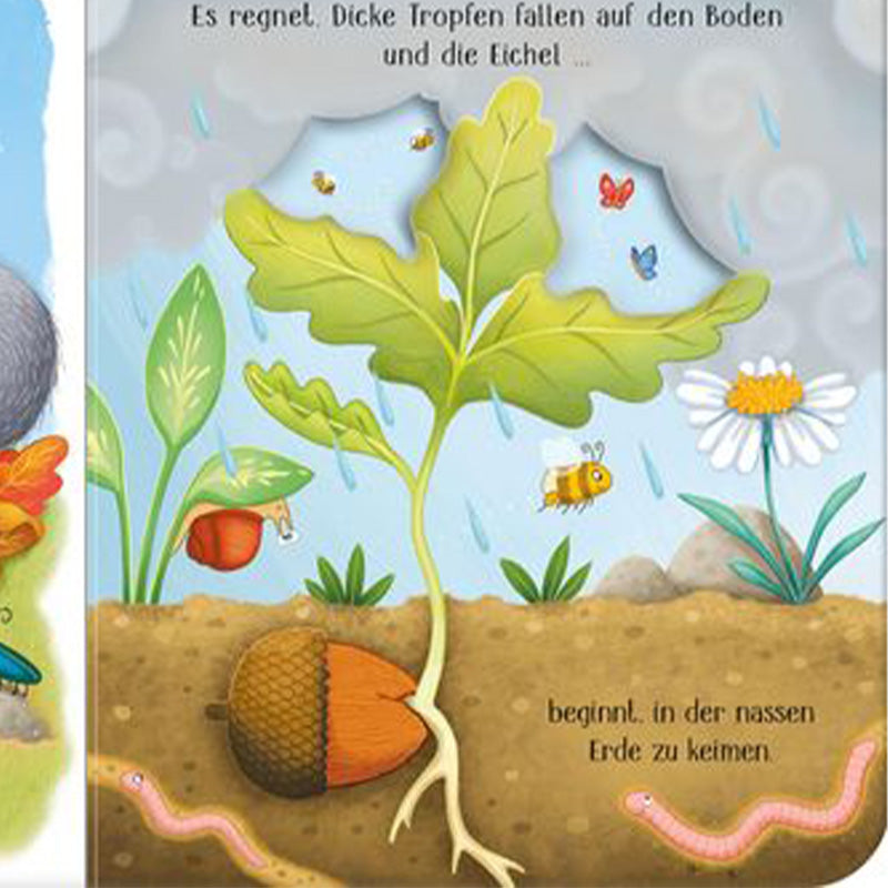 Buchseite zeigt wachsenden Eichelkeim im Regen mit Regenwürmern, Biene und Erdschichten.