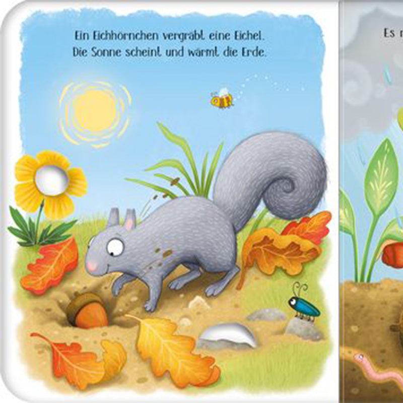 Buchseite zeigt Eichhörnchen, das eine Eichel im Boden vergräbt, sonnige Waldszene.