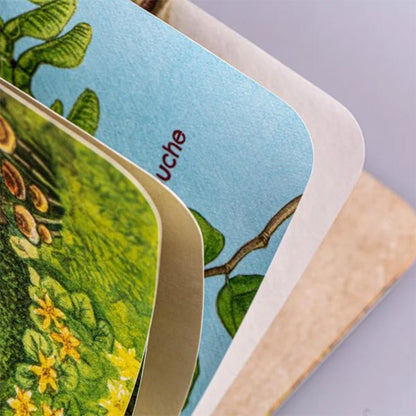 Detailansicht der stabilen abgerundeten Buchseiten des Pappbilderbuchs.