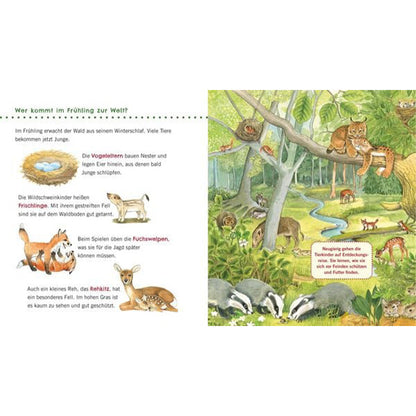 Buchseite mit Tieren im Frühling im Wald und kurzen Erklärtexten.
