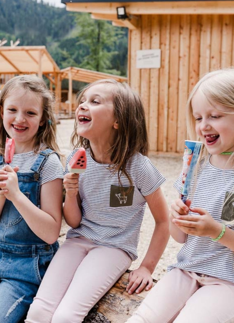 Eis essen im Waldpark Hochreiter