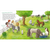 Wiese mit vielen verschiedenen Pferden und Ponys, darunter Fohlen – kindgerechte Erklärung der Unterschiede zwischen großen und kleinen Pferden.