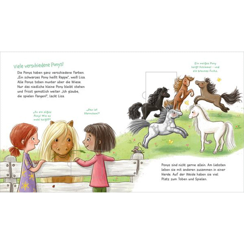 Szene mit verschiedenen Ponyrassen und Farben – die Kinder erfahren, dass Ponys gesellige Tiere sind, die in Herden leben und viel Platz zum Spielen brauchen.
