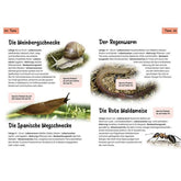 Innenseite mit Tierbeschreibungen: Weinbergschnecke, Regenwurm, Spanische Wegschnecke und Rote Waldameise mit Fotos.