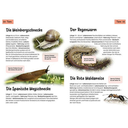 Innenseite mit Tierbeschreibungen: Weinbergschnecke, Regenwurm, Spanische Wegschnecke und Rote Waldameise mit Fotos.