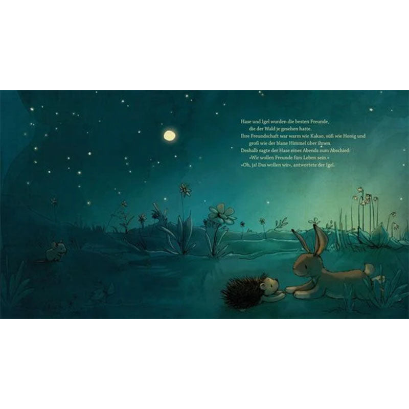 Buchseite: Hase und Igel liegen nachts im Gras und schauen in den Sternenhimmel, Mond leuchtet über einer Wiese.