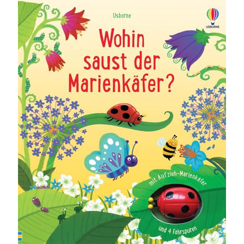Wohin saust der Marienkäfer?