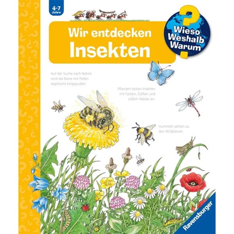 WWW - Wir entdecken Insekten