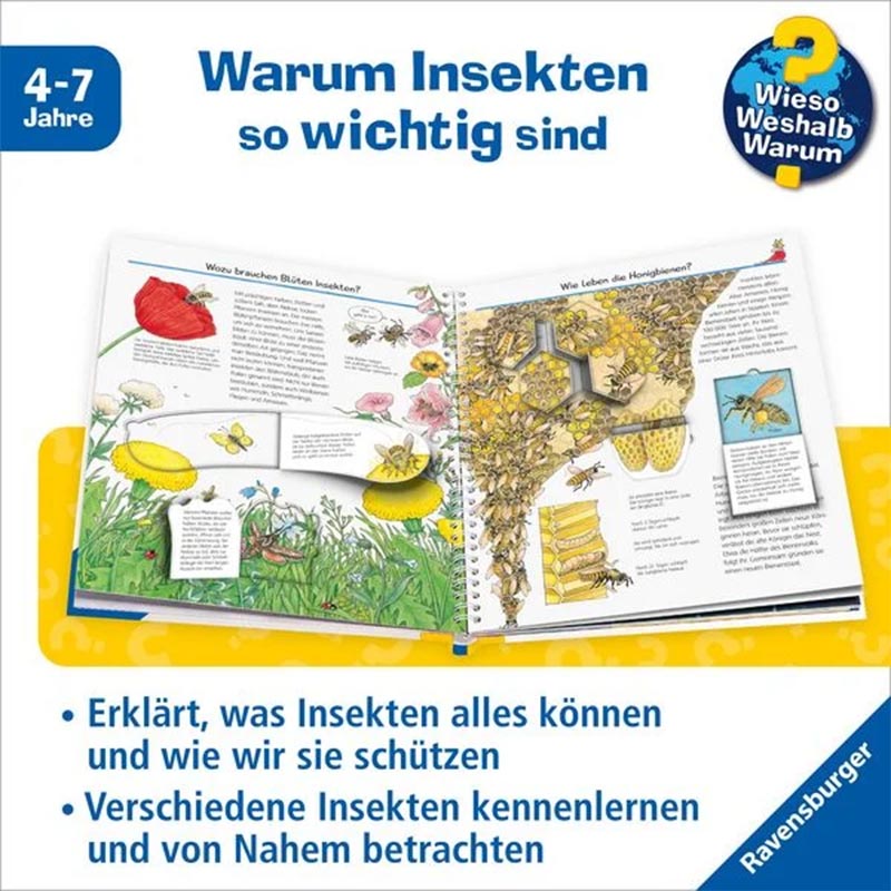 WWW - Wir entdecken Insekten