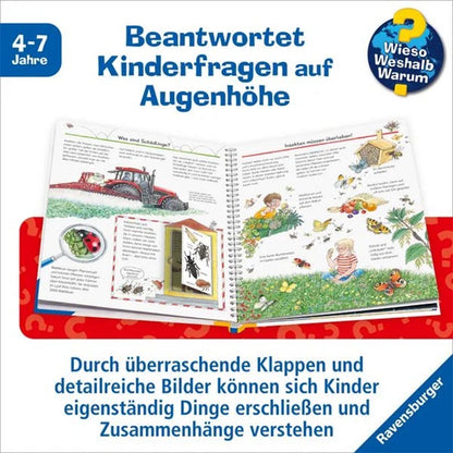 WWW - Wir entdecken Insekten